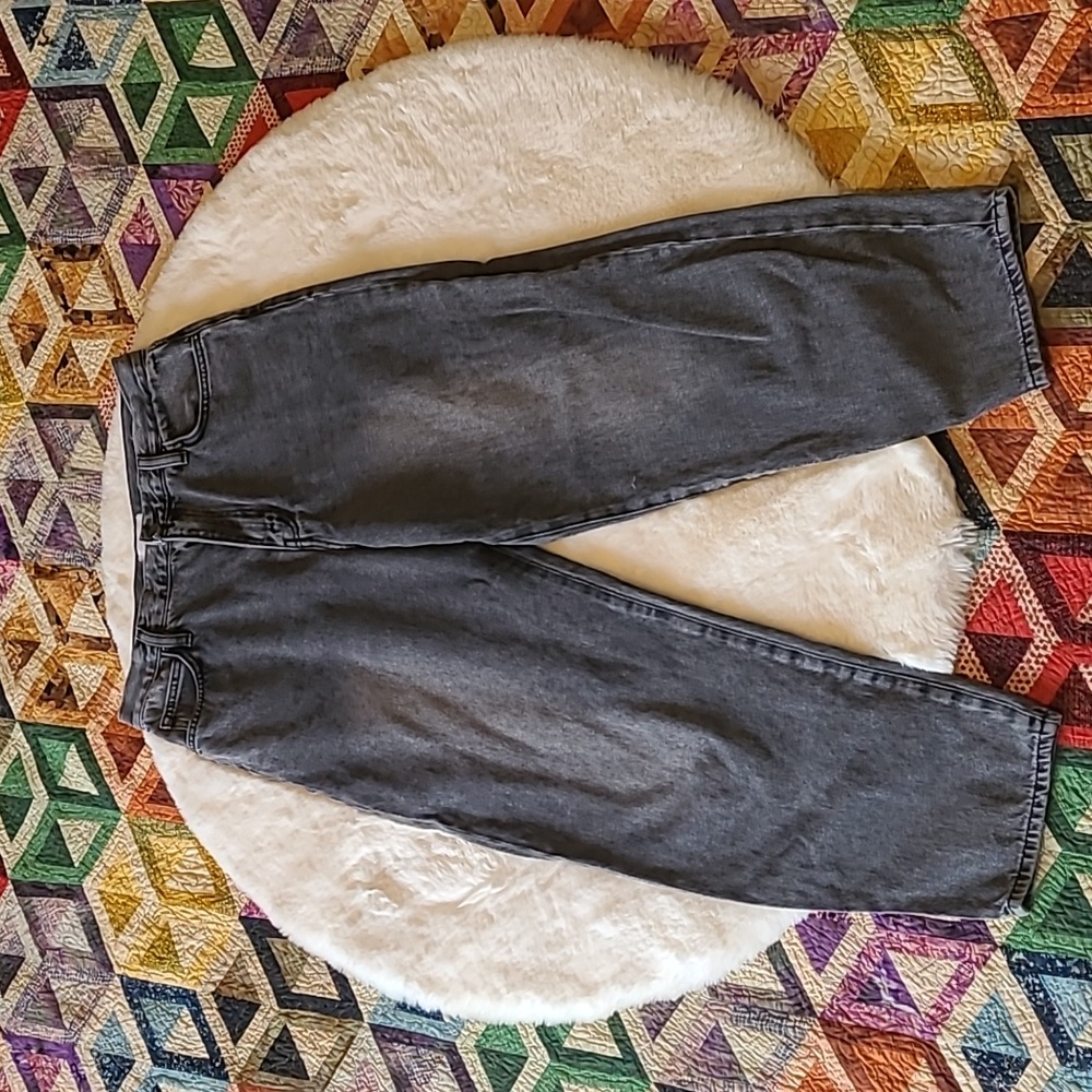 Frame High-waisted Distressed Long Barrell Serpentine Denim Jeans Size 31